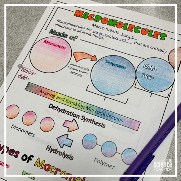 Biology macromolecules chart activity macromolecule table comparison science pdf classroom worksheet school teaching cell high life ap activities biochemistry teacher