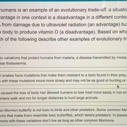 Human skin color evidence for selection answers