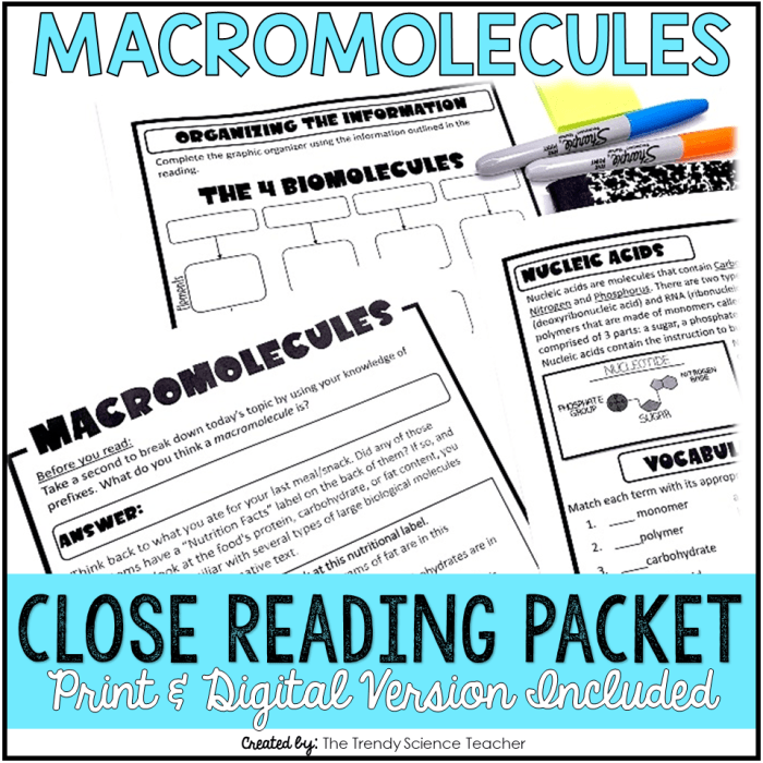 The trendy science teacher macromolecules answer key