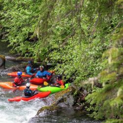 Paddling with the current a group of kayakers