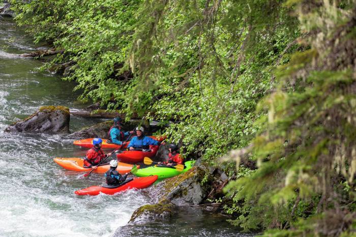 Paddling with the current a group of kayakers