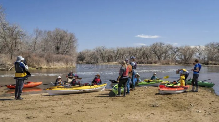 Paddling with the current a group of kayakers