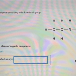 Molecule classify