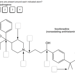 Hydrogens indicated atom present each many around